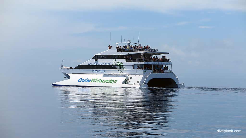 boat cruise whitsundays diving the great barrier reef with cruise whitsundays boat cruise whitsundays diving the great barrier reef with cruise whitsundays