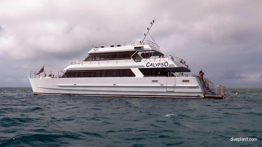 Great Barrier Reef diving aboard the Calypso. Dive holiday travel planning tips for Opal Reef - where, when, who and how