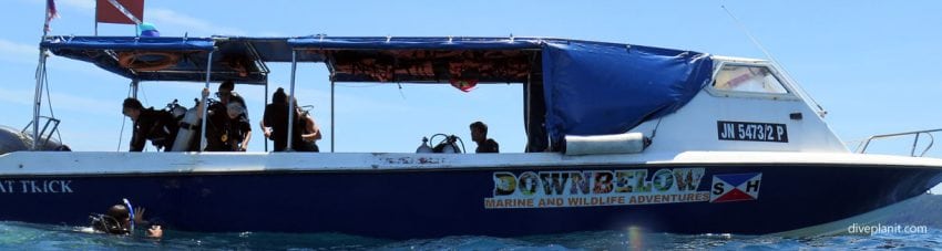 The downbelow boat diving with dive downbelow banner
