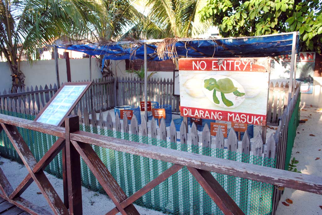 Scuba Junkies turtle sanctuary