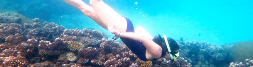Snorkeler in fiji banner