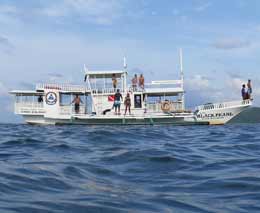 The black pearl side on at calauit island diving busuanga island palawan philippines feature