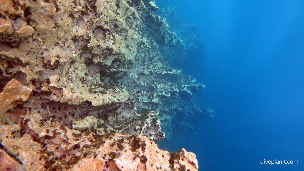 Very steep vertical drop off at Coron's Barracuda Lake diving Palawan in the Philippines by Diveplanit