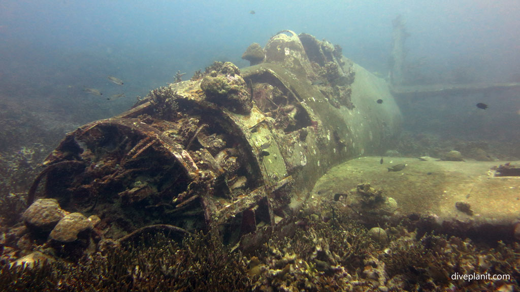 Plane from the front at Hellcat Wreck diving Gizo in the Gizo by Diveplanit