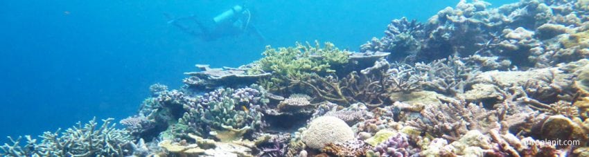 View over the terrain with divers at hapi reef munda diving solomon islands banner