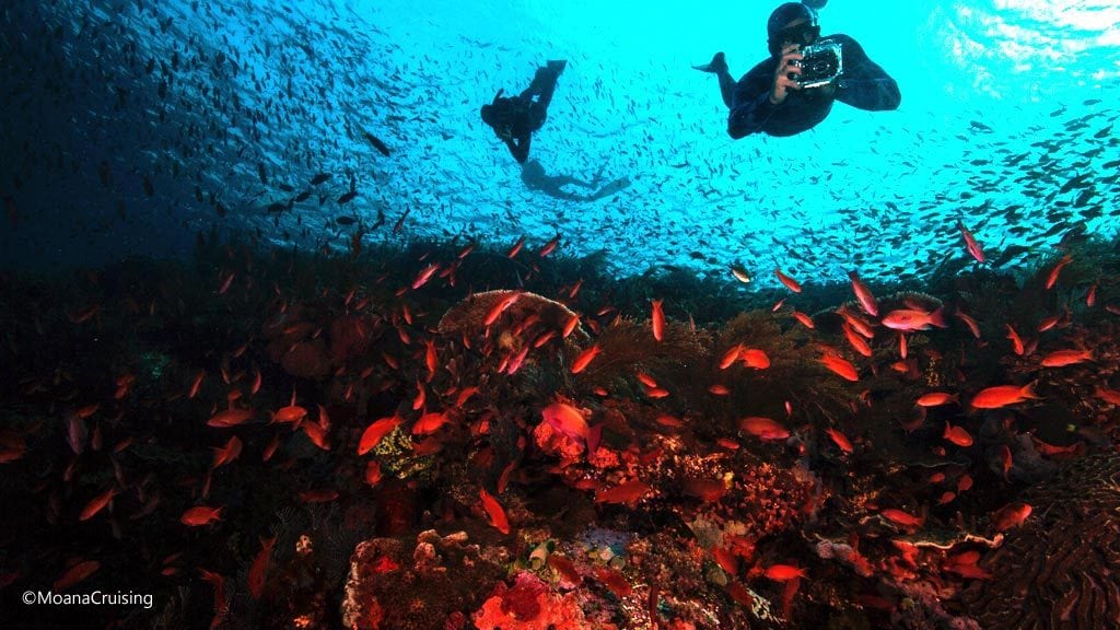 Freediving photographer above reef diving Batu Bolong at Komodo National Park Indonesia Credit Moana 5072