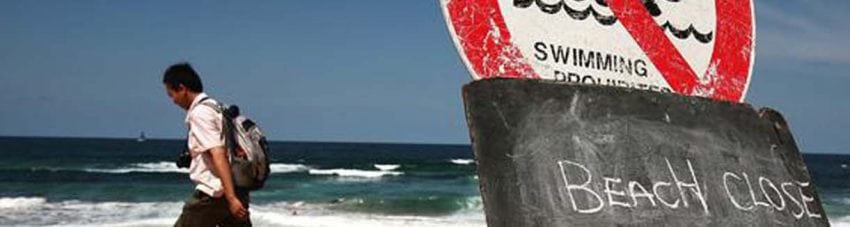 Shark attack beach banner
