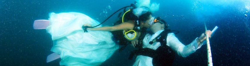 Trang underwater wedding couple banner