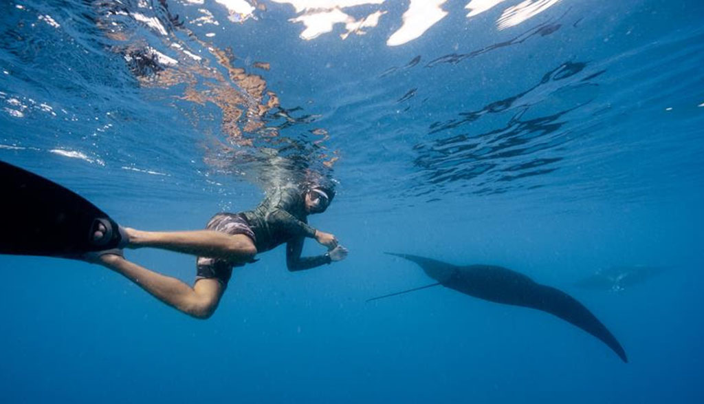 Fiji Barefoot Manta snorkel