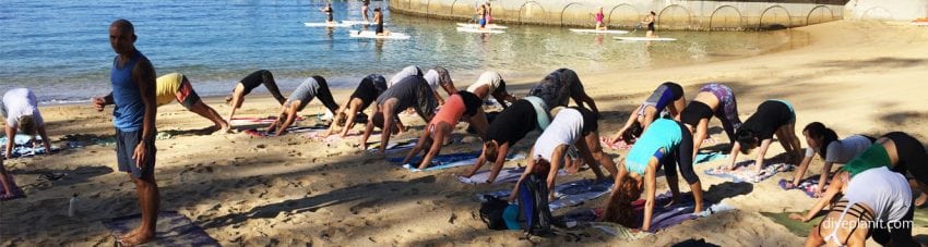 Downward dog to kick off clean up australia day with more yoga less trash diveplanit blog banner