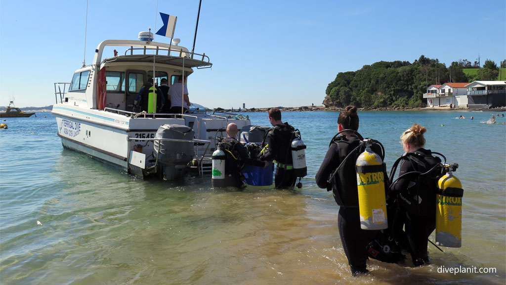 The ex HMAS Adelaide after Five Years underwater