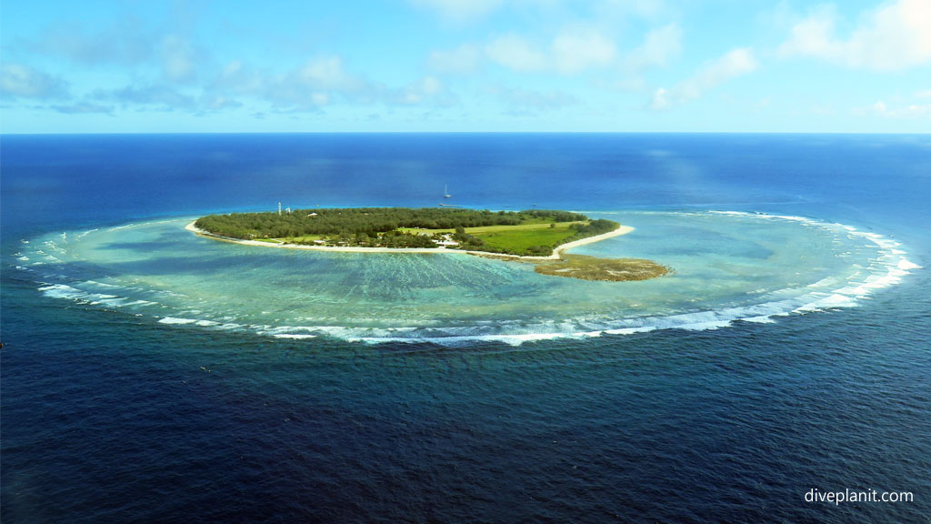 Great aerial shot of Lady Elliot Island on the southern Great Barrier Reef home to turtles and frequented by manta rays Diveplanit Blog