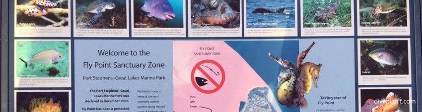 Welcome to fly point marine sanctuary zone nsw diveplanit blog banner