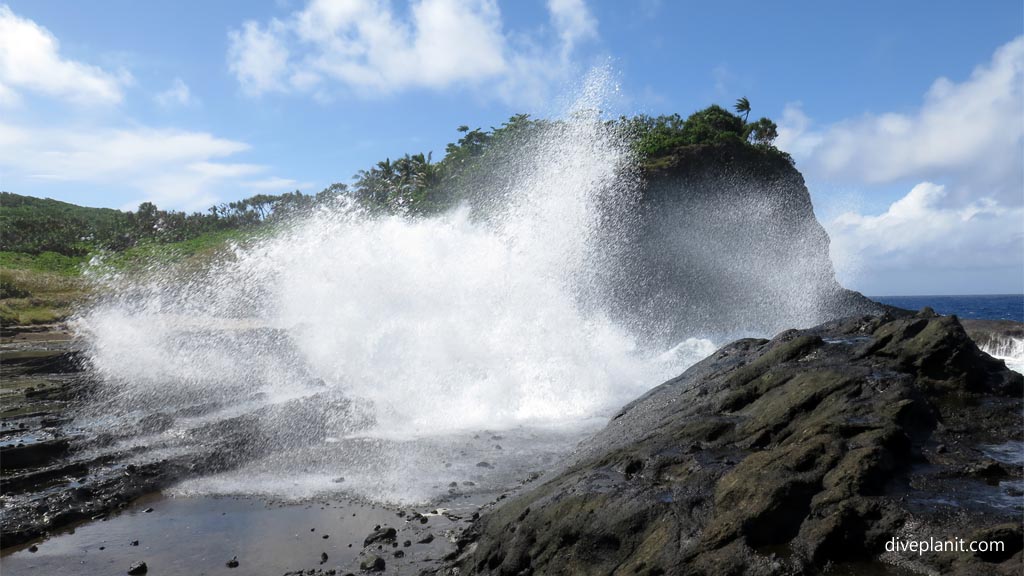 American Samoa Scuba Diving Resorts & Liveaboards | Diving Samoa