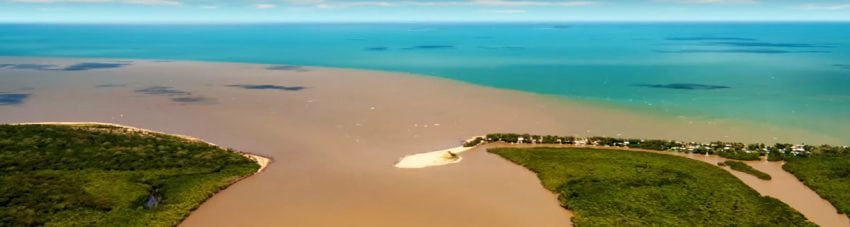 Reef aid restore coastal environments to improve water quality banner diveplanit