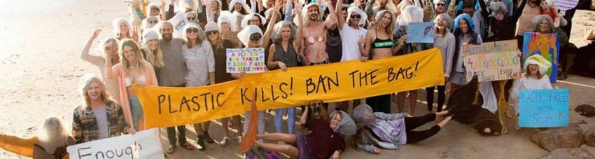 Plastic kills ban the bag one solution to marine plastic pollution diveplanit blog banner