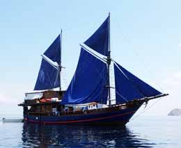 Mo moana with sails aboard moana diving komodo mo feature