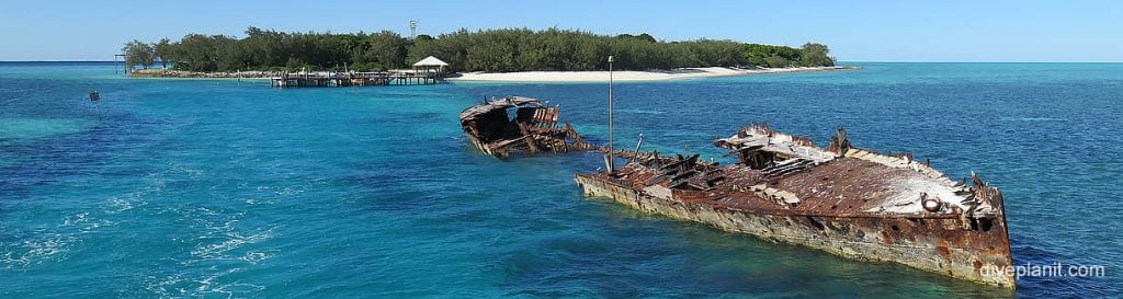 Heron Island Diving Resorts Liveaboards Diving Heron Island