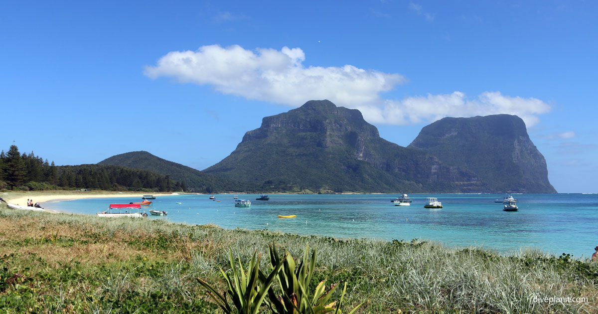 Lord Howe Island Scuba Diving Resorts & Liveaboards