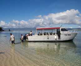 Tui wai at the lunch stop at the resort diving taveuni rainbow reef fiji islands tdr feature