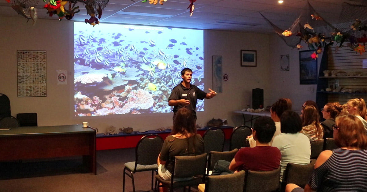 Reef Teach: learn about the Great Barrier Reef in Cairns before you go out on the boat to see it. With knowledge you’ll appreciate what you see so much more
