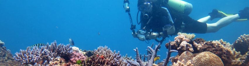 Yasawa islands diving deb above a variety of corals at mantaray island resort fiji islands diveplanit banner