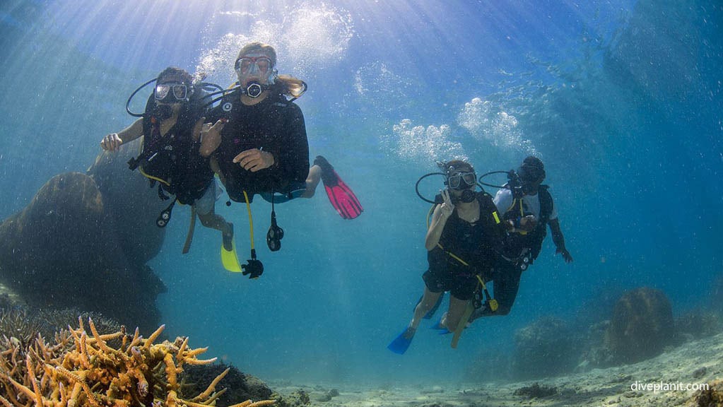 group of divers underwater diving Barefoot Manta with Barefoot Manta at Yasawa Islands Fiji Islands by Diveplanit