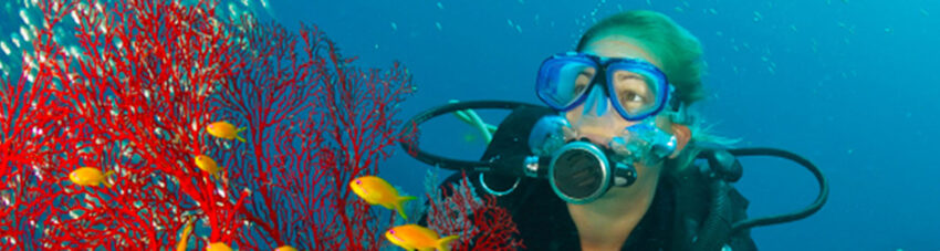 Diveaway fiji coral coast (won’t contract)