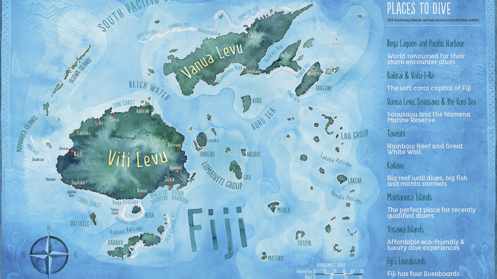 Fiji Scuba Diving Resorts & Liveaboards  Diving Fiji