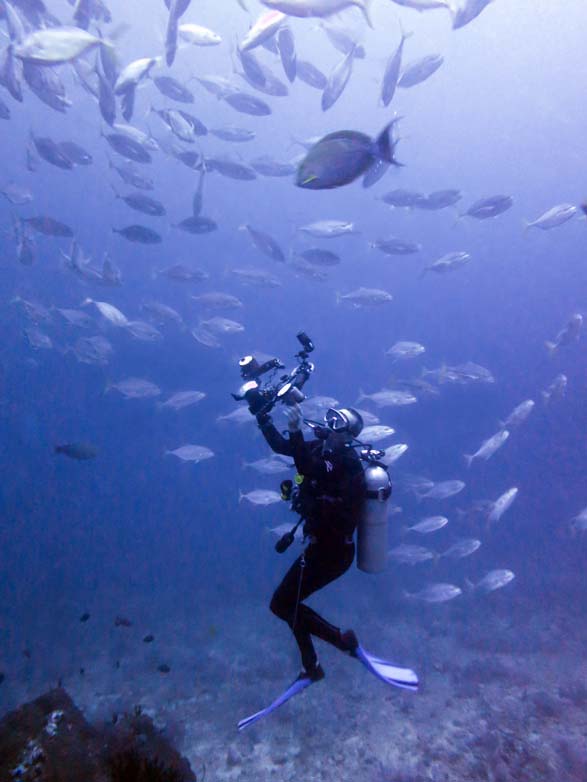 Koh Ha, the Thai dive destination the Thai Royals love.