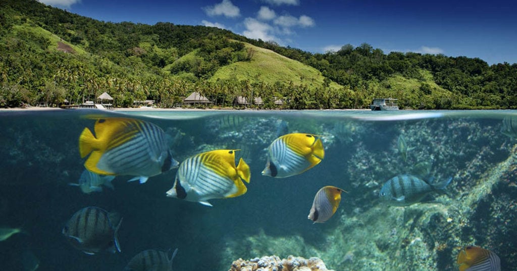 Lalati resort spa beqa island beqa lagoon pacific harbour fiji underwater resort opengraph