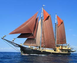 Adelaar liveaboard cruising and diving bali to komodo indonesia feature