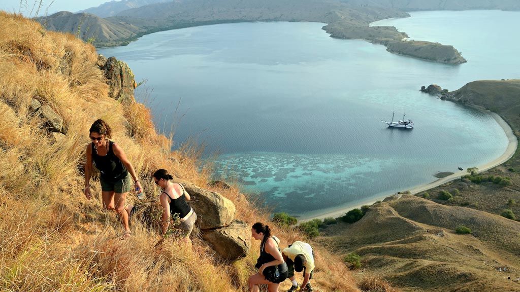 Indo aggressor komodo indonesia land shot komodo