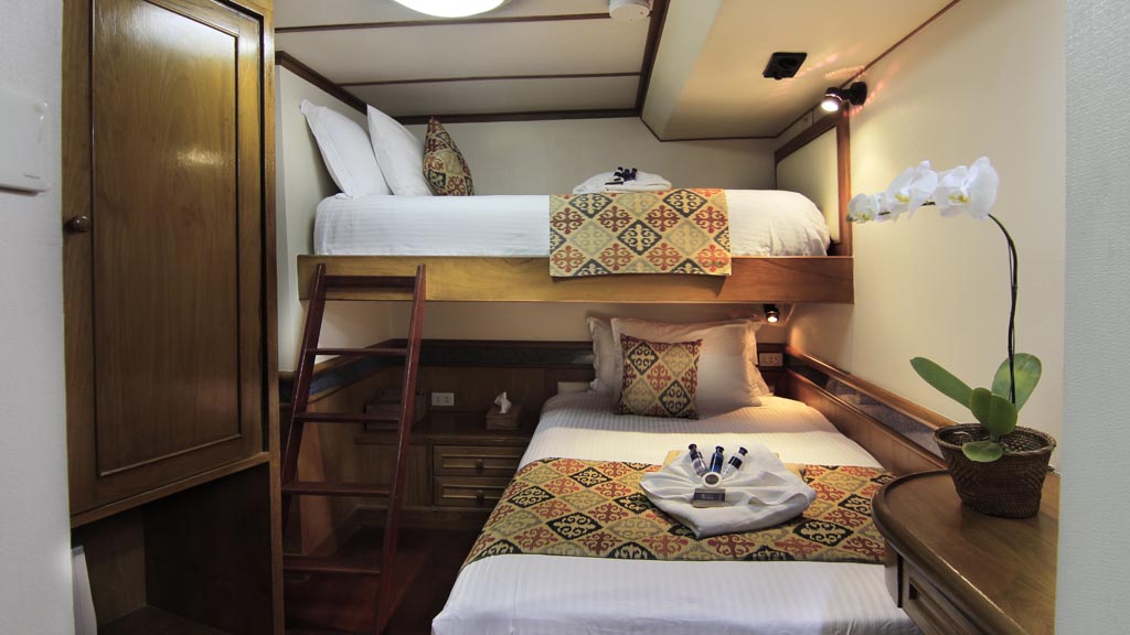 Mermaid 1 liveaboard budget cabin | double or twin beds, en suite bathrooms and a refrigerator