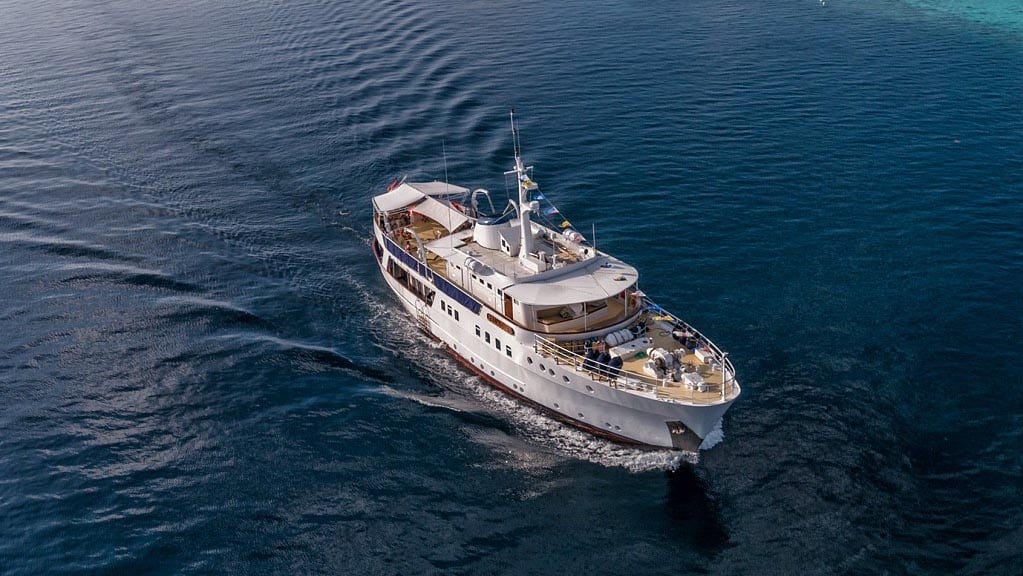 Pelagian liveaboard wakatobi sulawesi indonesia cruising