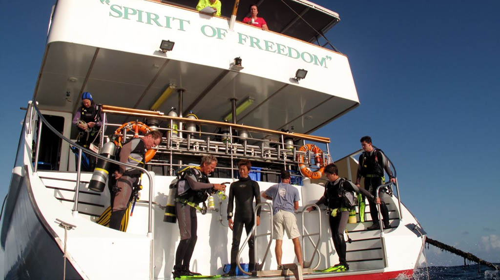 Spirit of Freedom a luxurious Liveaboard in the Cairns region with itineraries on the Great Barrier Reef’s Ribbon Reefs and Coral Sea sites like Cod Hole