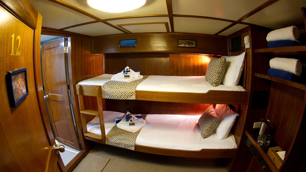 Mermaid 2 liveaboard | twin cabin - on the main deck with large panoramic sea view windows, double and single beds, air conditioning and private en suite bathroom