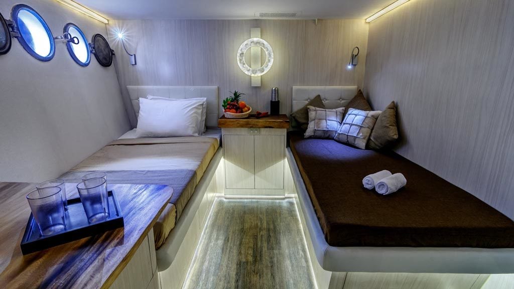 Pelagian liveaboard wakatobi sulawesi indonesia twin cabin