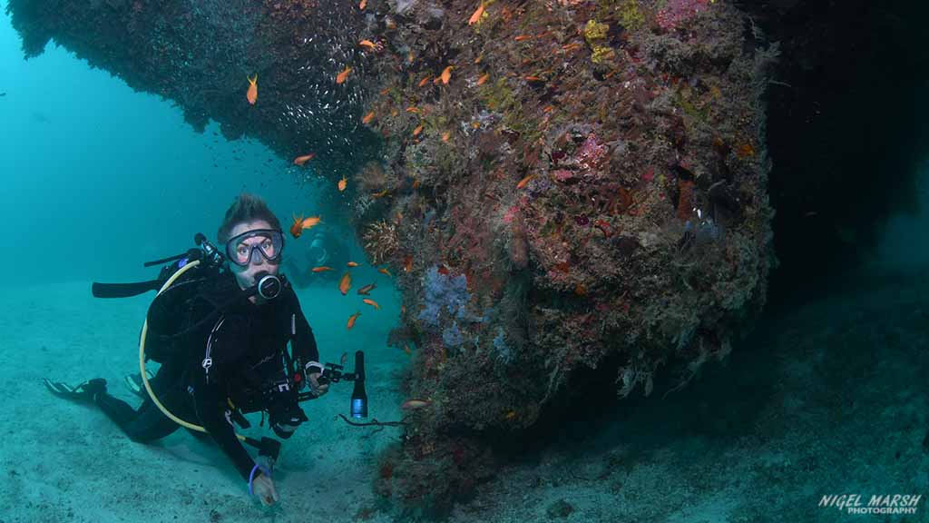 Fesdu Wreck dive site in the Maldives Central Atolls