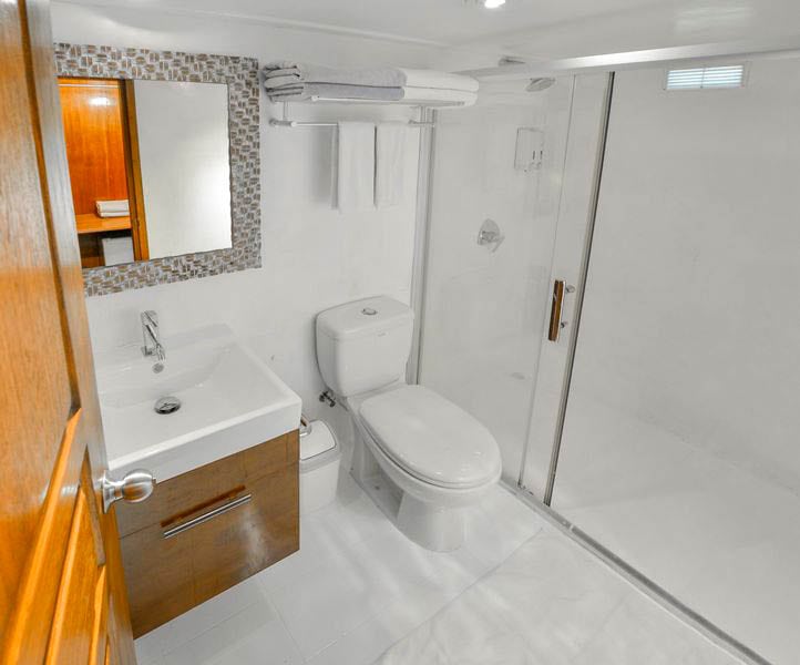 Carpe Diem liveaboard is a modern diving vessel in the Maldives-Sun-Suite-cabin-bathroom