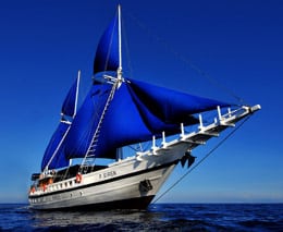 Philippine Siren – visit the best Philippines dive destinations Visayas Malapascua Tubbataha in the comfort and style of this phinisi sailing schooner