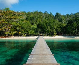 Biodiversity eco resort gam island raja ampat indonesia jetty feature