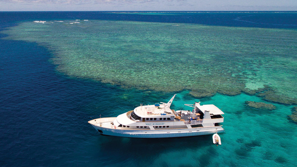 Spirit of Freedom a luxurious Liveaboard in the Cairns region with itineraries on the Great Barrier Reef’s Ribbon Reefs and Coral Sea sites like Cod Hole
