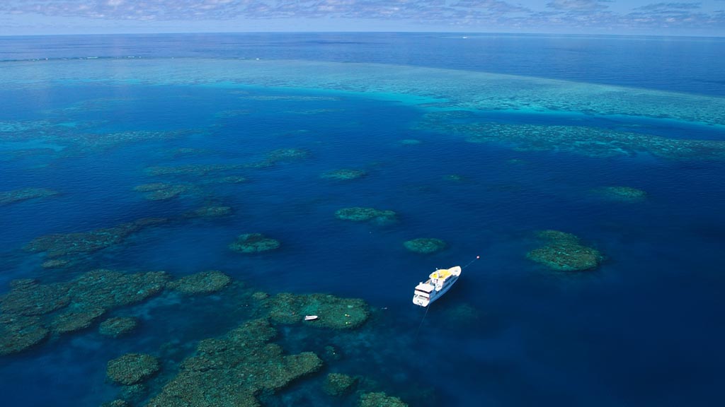 Spirit of Freedom a luxurious Liveaboard in the Cairns region with itineraries on the Great Barrier Reef’s Ribbon Reefs and Coral Sea sites like Cod Hole