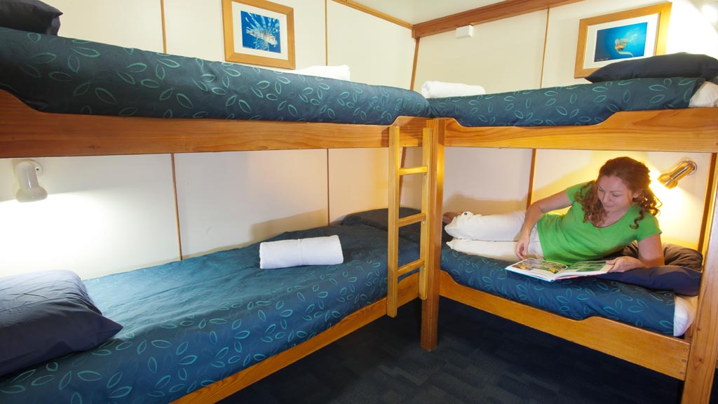 Spirit of freedom beautiful and luxurious liveaboard cairns australia cabin quad