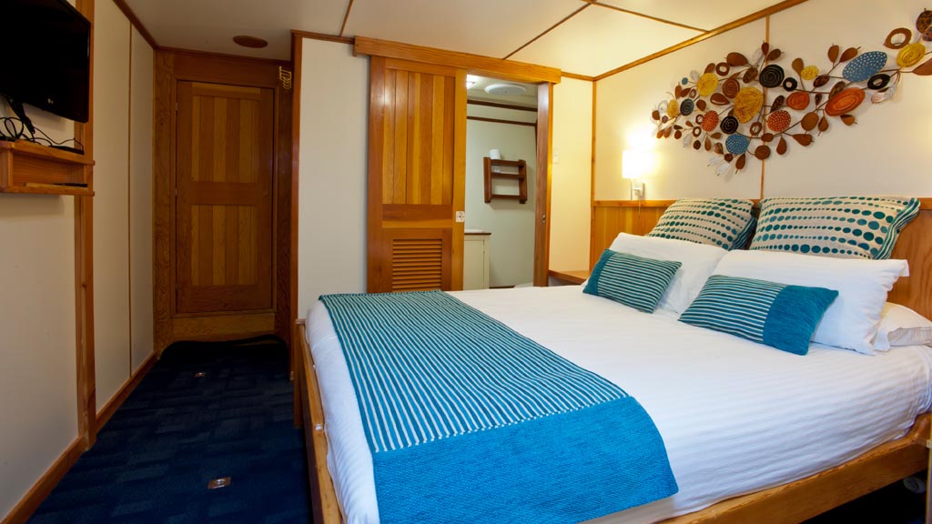 Spirit of freedom beautiful and luxurious liveaboard cairns australia cabin stateroom