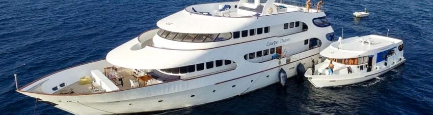 Dive-with-a-purpose-Carpe-Diem-Cruise-and-Dhoni banner