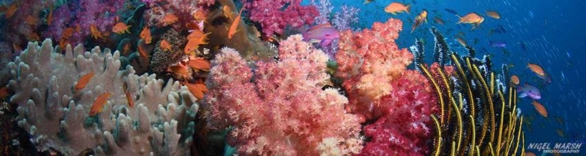 Fiji bligh water credit Nigel Marsh