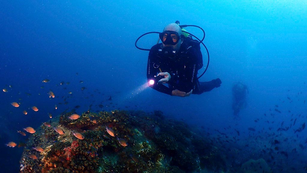 Diver with torch diving Golden Reef with B&J Diving at Tioman Island Malaysia supplied