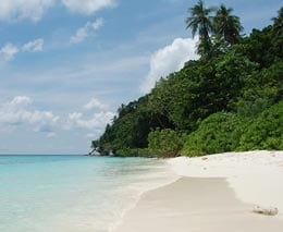 Diving malaysia beach headland at tioman island malaysia supplied feature
